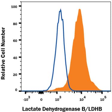 HeLa human cervical epithelial carcinoma cell line was stained with Rabbit Anti-Human Lactate Dehydrogenase B/LDHB Monoclonal Antibody (Catalog # MAB9205, filled histogram) or isotype control antibody (Catalog # AB-105-C, open histogram), followed by Allophycocyanin-conjugated Anti-Rabbit IgG Secondary Antibody (Catalog # F0111). To facilitate intracellular staining, cells were fixed with Flow Cytometry Fixation Buffer (Catalog # FC004) and permeabilized with Flow Cytometry Permeabilization/Wash Buffer I (Catalog # FC005). View our protocol for Staining Intracellular Molecules.