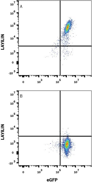 Flow Cytometry Layilin Antibody (328024) [Unconjugated]