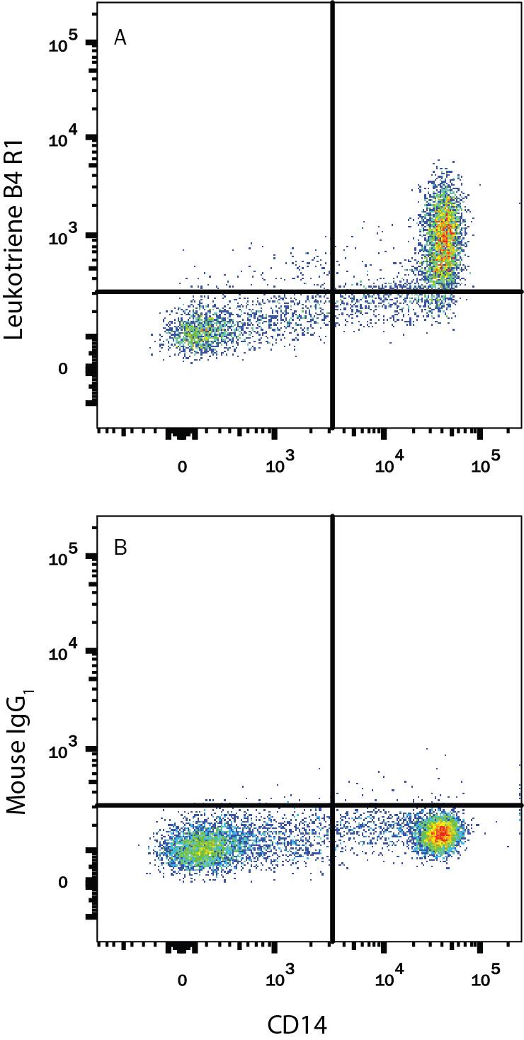 Human peripheral blood monocytes were stained with Mouse Anti-Human CD14 APC-conjugated Monoclonal Antibody (Catalog # FAB3832A) and either (A) Mouse Anti-Human Leukotriene B4 R1 Fluorescein-conjugated Monoclonal Antibody (Catalog # FAB099F) or (B) Mouse IgG1Fluorescein Isotype Control (Catalog # IC002F). View our protocol for Staining Membrane-associated Proteins.
