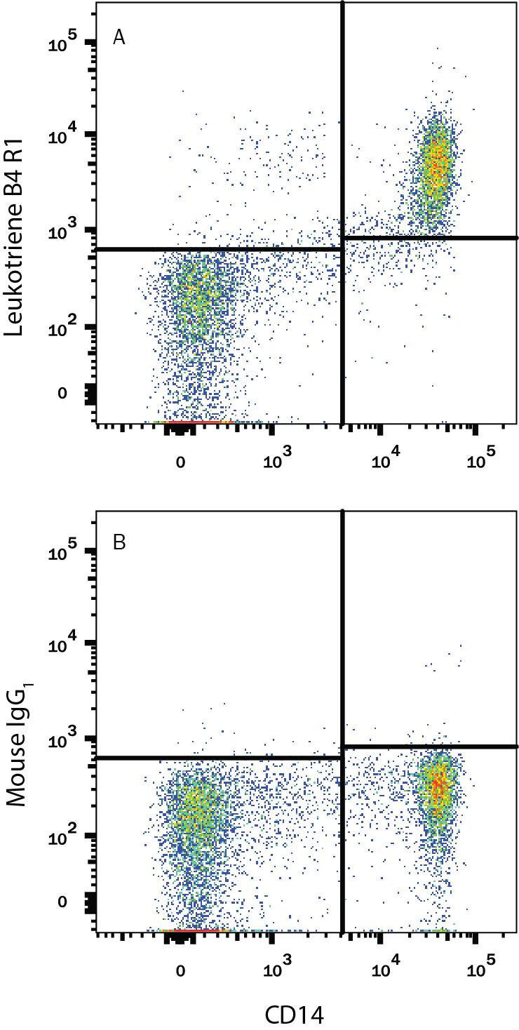 Human peripheral blood monocytes were stained with Mouse Anti-Human CD14 APC-conjugated Monoclonal Antibody (Catalog # FAB3832A) and either (A) Mouse Anti-Human Leukotriene B4 R1 PE-conjugated Monoclonal Antibody (Catalog # FAB099P) or (B) Mouse IgG1Phycoerythrin Isotype Control (Catalog # IC002P). View our protocol for Staining Membrane-associated Proteins.