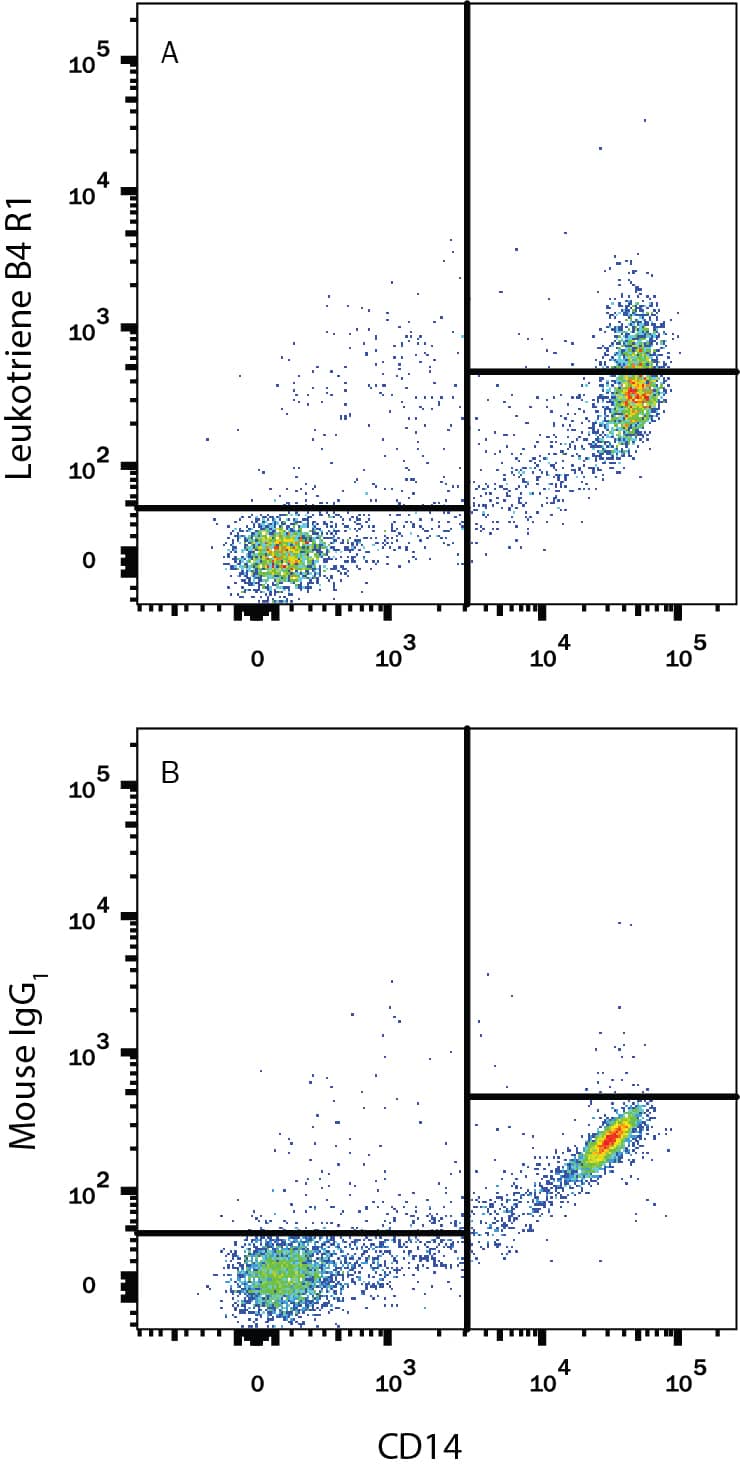 Human peripheral blood monoctyes were stained with Mouse Anti-Human CD14 APC-conjugated Monoclonal Antibody (Catalog # FAB3832A) and either (A) Mouse Anti-Human Leukotriene B4 R1 Monoclonal Antibody (Catalog # MAB099) or (B) Mouse IgG1Isotype Control (Catalog # MAB002) followed by Phycoerythrin-conjugated Anti-Mouse IgG Secondary Antibody (Catalog # F0102B). View our protocol for Staining Membrane-associated Proteins.