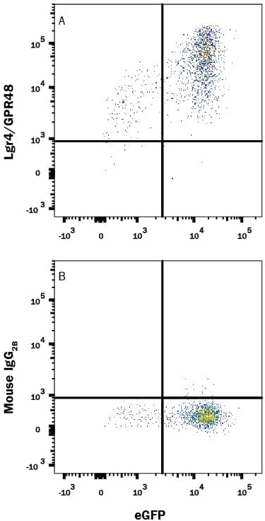 Flow Cytometry Lgr4/GPR48 Antibody (852229) [Unconjugated]