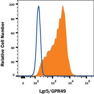 CHO-S cell line transfected with human Lgr5/GPR49 was stained with Mouse Anti-Human Lgr5/GPR49 Alexa Fluor® 488-conjugated Monoclonal Antibody (Catalog # FAB8078G, filled histogram) or Mouse IgG2A Isotype Control IC003G, open histogram). View our protocol for Staining Membrane-associated Proteins.