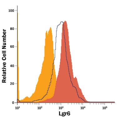 In a functional flow cytometry test, biotinylated recombinant human R-Spondin 4 (100 ng/mL) binds to HEK293 human embryonic kidney cell line transfected with human Lgr6 (dark orange filled histogram). Binding is completely blocked (light orange filled histogram) by 1 µg/mL of Mouse Anti-Human Lgr6 Monoclonal Antibody (Catalog # MAB84581). Mouse IgG2A Isotype Control (Catalog # MAB003) at 1 µg/mL was used as a control (blue line). Cells were stained with Streptavidin-APC (Catalog # F0050).