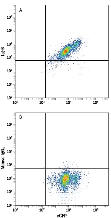 Flow Cytometry Lgr6 Antibody (918719) [Unconjugated]