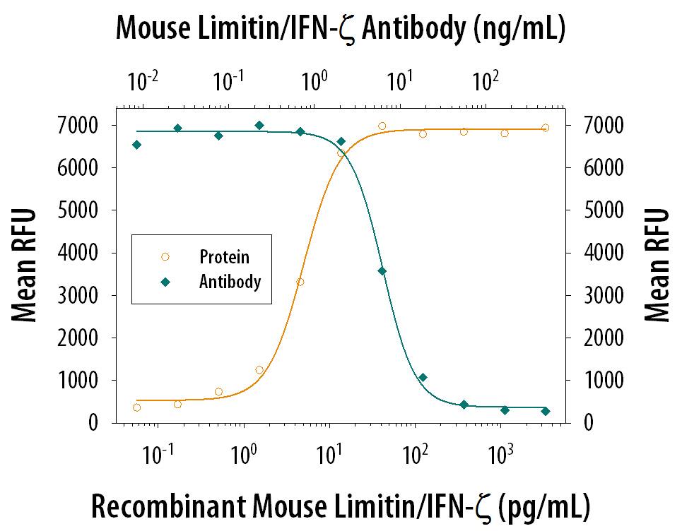Recombinant Mouse Limitin (<a class=
