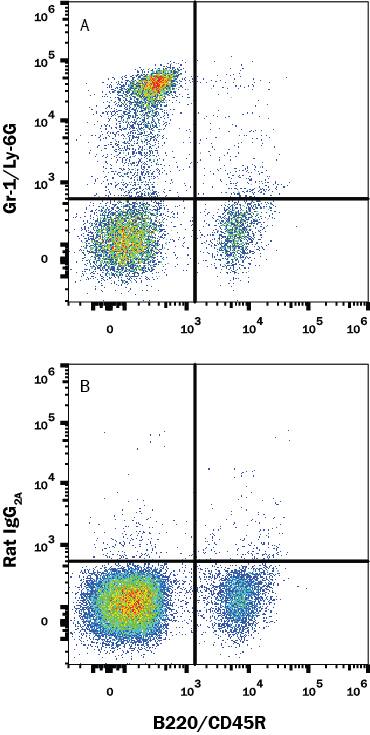 Mouse bone marrow cells were stained with either (A) Rat Anti-Mouse Ly-6g (GR-1) Monoclonal Antibody (Catalog # MAB10371) or (B) Rat IgG2A Isotype Control (Catalog # MAB006) followed by Phycoerythrin-conjugated Anti-Rat IgG Secondary Antibody (Catalog # F0105B) and Rat Anti-Mouse B220/CD45R APC-conjugated Monoclonal Antibody (Catalog # FAB1217A).View our protocol for Staining Membrane-associated Proteins.