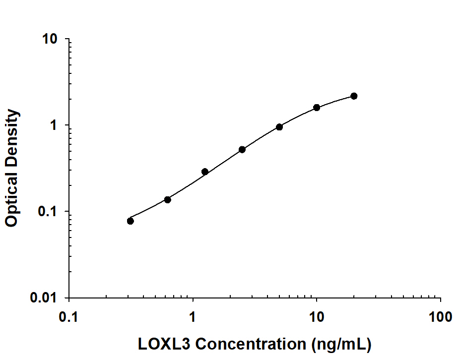 ELISA Lysyl Oxidase Homolog 3/LOXL3 Antibody (1013328) [Unconjugated]