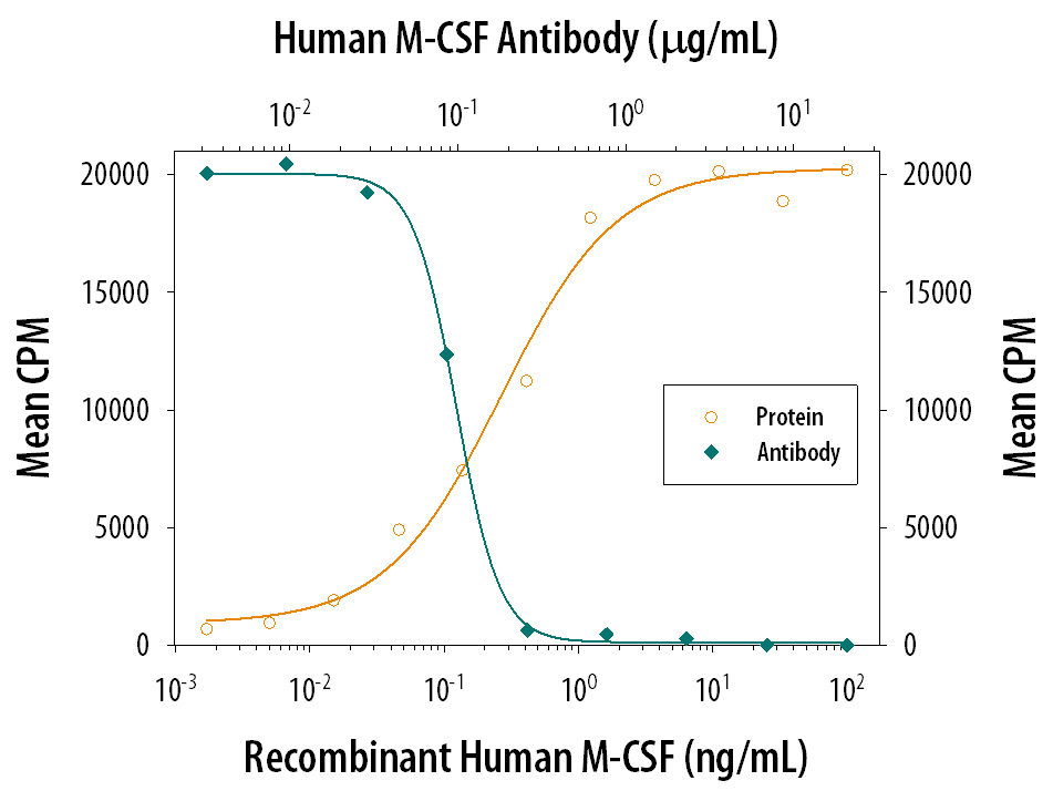 Recombinant Human M-CSF (Catalog # 216-MC) stimulates proliferation in the M-NFS-60 mouse myelogenous leukemia lymphoblast cell line in a dose-dependent manner (orange line). Proliferation elicited by Recombinant Human M-CSF (2.5 ng/mL) is neutralized (green line) by increasing concentrations of Goat Anti-Human M-CSF Polyclonal Antibody (Catalog # AB-216-NA). The ND50 is typically 0.05-0.15 µg/mL.