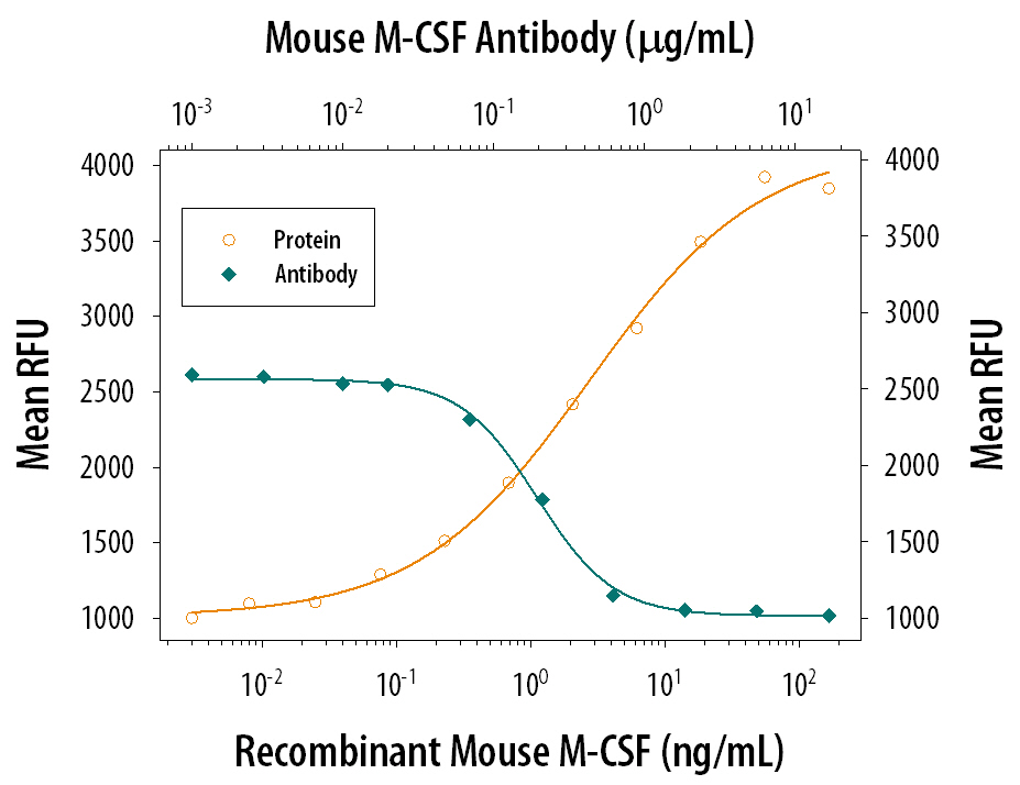 Recombinant Mouse M-CSF (Catalog # 416-ML) stimulates proliferation in the M-NFS-60 mouse myelogenous leukemia lymphoblast cell line in a dose-dependent manner (orange line). Proliferation elicited by Recombinant Mouse M-CSF (10 ng/mL) is neutralized (green line) by increasing concen­trations of Goat Anti-Mouse M-CSF Polyclonal Antibody (Catalog # AB-416-NA). The ND50 is typically 0.2-0.6 µg/mL.