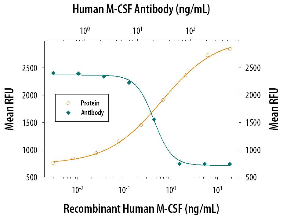 Recombinant Human M-CSF (Catalog # 216-MC) stimulates proliferation in the M-NFS-60 mouse myelogenous leukemia lymphoblast cell line in a dose-dependent manner (orange line). Proliferation elicited by Recombinant Human M-CSF (2.5 ng/mL) is neutralized (green line) by increasing concentrations of Goat Anti-Human M-CSF Antigen Affinity-purified Polyclonal Antibody (Catalog # AF216). The ND50 is typically 0.01-0.03 µg/mL.