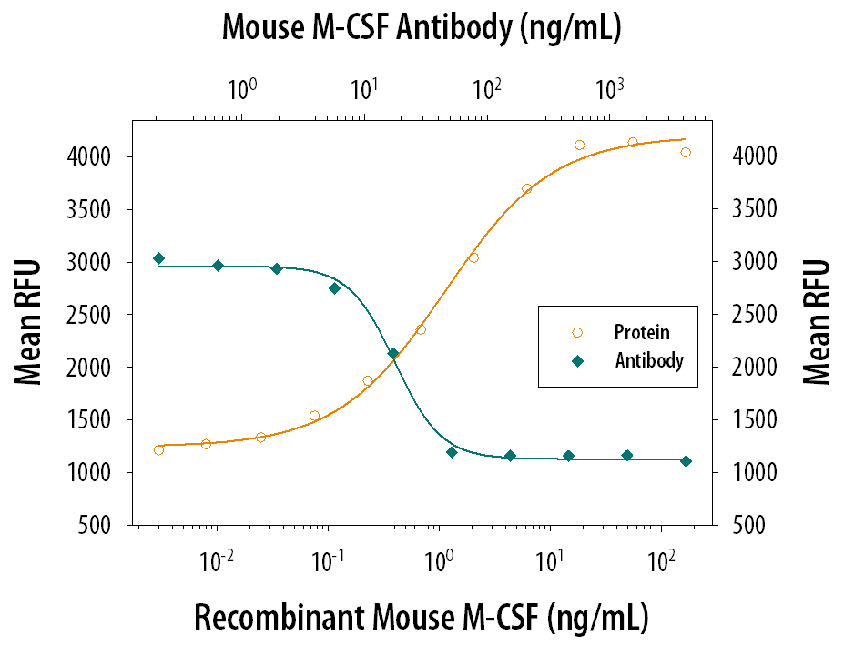 Recombinant Mouse M-CSF (Catalog # 416-ML) stimulates proliferation in the M-NFS-60 mouse myelogenous leukemia lymphoblast cell line in a dose-dependent manner (orange line). Proliferation elicited by Recombinant Mouse M-CSF (10 ng/mL) is neutralized (green line) by increasing concentrations of Goat Anti-Mouse M-CSF Antigen Affinity-purified Polyclonal Antibody (Catalog # AF416). The ND50 is typically 0.015-0.035 µg/mL.
