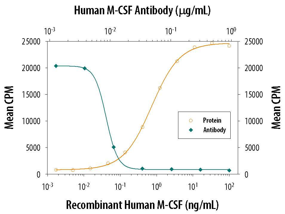 Recombinant Human M‑CSF (Catalog # 216-MC) stimulates proliferation in the M‑NFS‑60 mouse myelogenous leukemia lymphoblast cell line in a dose-dependent manner (orange line). Proliferation elicited by Recombinant Human M‑CSF (2.5 ng/mL) is neutralized (green line) by increasing concentrations of Human M‑CSF Monoclonal Antibody (Catalog # MAB216). The ND50 is typically 0.005-0.020 µg/mL.