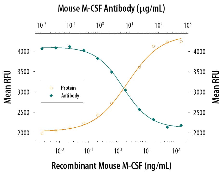 Recombinant Mouse M-CSF (Catalog # 416-ML) stimulates proliferation in the M-NFS-60 mouse myelogenous luekemia lymphoblast cell line in a dose-dependent manner (orange line). Proliferation elicited by Recombinant Mouse M-CSF (10 ng/mL) is neutralized (green line) by increasing concentrations of Mouse M-CSF Monoclonal Antibody (Catalog # MAB4161). The ND50 is typically 3-12 µg/mL.
