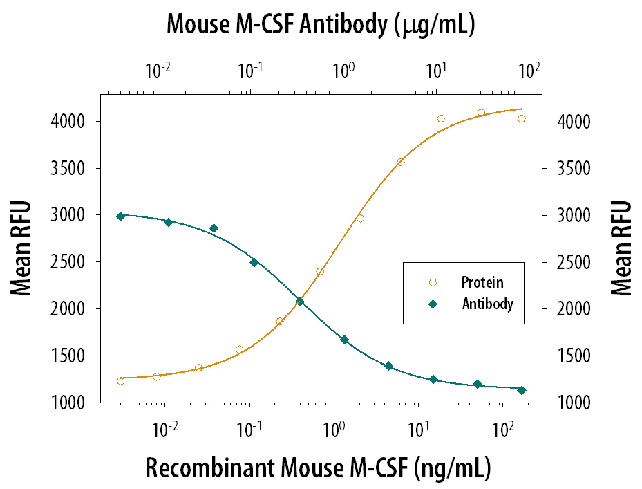 Recombinant Mouse M-CSF (Catalog # 416-ML) stimulates proliferation in the M-NFS-60 mouse myelogenous leukemia lymphoblast cell line in a dose-dependent manner (orange line). Proliferation elicited by Recombinant Mouse M-CSF (10 ng/mL) is neutralized (green line) by increasing concentrations of Rat Anti-Mouse M-CSF Monoclonal Antibody (Catalog # MAB416). The ND50 is typically 0.3-1.5 µg/mL.