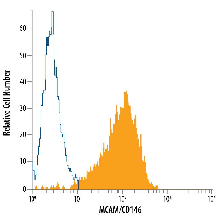 HeLa human cervical epithelial carcinoma cell line was stained with Mouse Anti-Human MCAM/CD146 Fluorescein-conjugated Monoclonal Antibody (Catalog # FAB932F, filled histogram) or isotype control antibody (Catalog # IC002F, open histogram). View our protocol for Staining Membrane-associated Proteins.