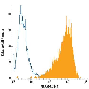 HeLa human cervical epithelial carcinoma cell line was stained with Mouse Anti-Human MCAM/CD146 PE-conjugated Monoclonal Antibody (Catalog # FAB932P, filled histogram) or isotype control antibody (Catalog # IC002P, open histogram). View our protocol for Staining Membrane-associated Proteins.