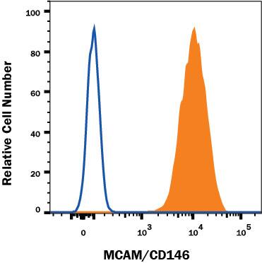 HeLa human cervical epithelial carcinoma cell line was stained with Mouse Anti-Human MCAM/CD146 Alexa Fluor® 647-conjugated Monoclonal Antibody (Catalog # FAB932R, filled histogram) or isotype control antibody (Catalog # IC002R, open histogram). View our protocol for Staining Membrane-associated Proteins.