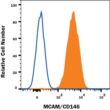 HeLa human cervical epithelial carcinoma cell line was stained with Mouse Anti-Human MCAM/CD146 Alexa Fluor® 750-conjugated Monoclonal Antibody (Catalog # FAB932S, filled histogram) or isotype control antibody (Catalog # IC002S, open histogram). View our protocol for Staining Membrane-associated Proteins.