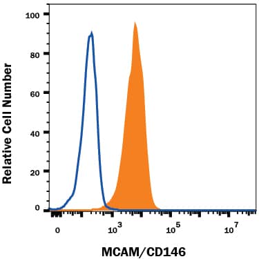 PC-12 rat adrenal pheochromocytoma cell line was stained with Mouse Anti-Rat MCAM/CD146 Monoclonal Antibody (Catalog # MAB3250, filled histogram) or isotype control antibody (Catalog # MAB003, open histogram), followed by Allophycocyanin-conjugated Anti-Mouse IgG Secondary Antibody (Catalog # F0101B). View our protocol for Staining Membrane-associated Proteins.