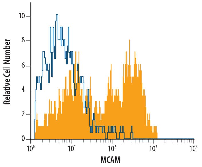 Mouse NK1.1+ splenocytes were stained with Rat Anti-Mouse MCAM/CD146 Monoclonal Antibody (Catalog # MAB7718, filled histogram) or isotype control antibody (Catalog # MAB006, open histogram), followed by Allophycocyanin-conjugated Anti-Rat IgG Secondary Antibody (Catalog # F0113).