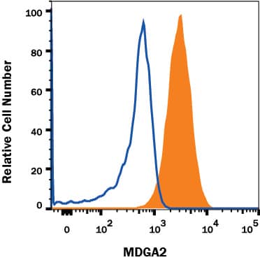 Rat cortical stem cells were stained with Mouse Anti-Human/Rat MDGA2 Monoclonal Antibody (Catalog # MAB5184R, filled histogram) or isotype control antibody (Catalog # MAB004, open histogram), followed by APC-conjugated Anti-Mouse IgG Secondary Antibody (Catalog # F0101B). View our protocol for Staining Membrane-associated Proteins.