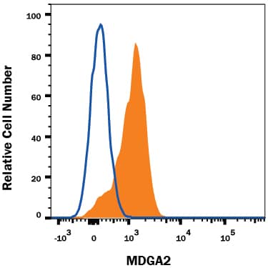 Rat cortical stem cells were stained with Mouse Anti-Human/Rat MDGA2 Monoclonal Antibody (Catalog # MAB5184, filled histogram) or isotype control antibody (Catalog # MAB004, open histogram), followed by Allophycocyanin-conjugated Anti-Mouse IgG Secondary Antibody (Catalog # F0101B). View our protocol for Staining Membrane-associated Proteins.