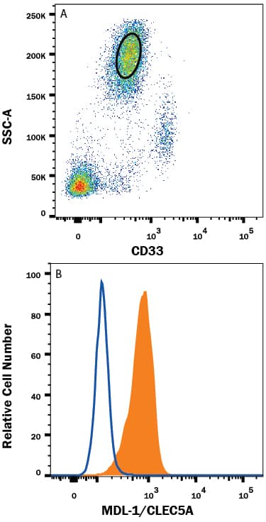 Human peripheral blood granulocytes were stained with (A) Mouse Anti-Human Siglec-3/CD33 PE-conjugated Monoclonal Antibody (<a class=