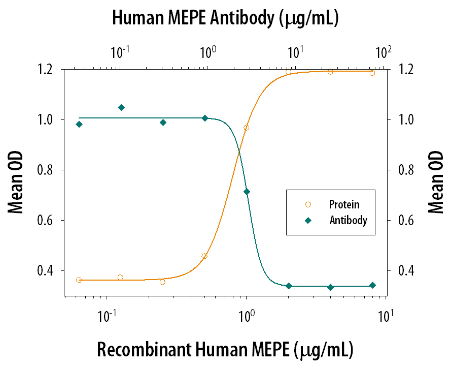 Neutralization MEPE/OF45 Antibody [Unconjugated]