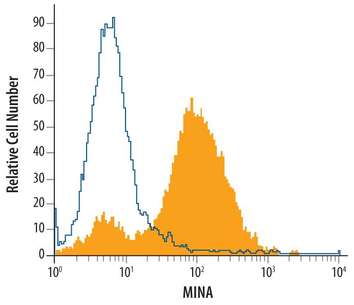 Jurkat human acute T cell leukemia cell line was stained with Mouse Anti-Human MINA Monoclonal Antibody (Catalog # MAB7476, filled histogram) or isotype control antibody (Catalog # MAB002, open histogram), followed by Phycoerythrin-conjugated Anti-Mouse IgG Secondary Antibody (Catalog # F0102B). To facilitate intracellular staining, cells were fixed with paraformaldehyde and permeabilized with saponin.