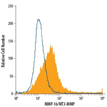 PC-3 human prostate cancer cell line was stained with Mouse Anti-Human MMP-16/MT3-MMP Monoclonal Antibody (Catalog # MAB1785, filled histogram) or isotype control antibody (Catalog # MAB003, open histogram), followed by Phycoerythrin-conjugated Anti-Mouse IgG Secondary Antibody (Catalog # F0102B).