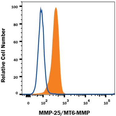 Jurkat human acute T cell leukemia cell line was stained with Mouse Anti-Human MMP-25/MT6-MMP Monoclonal Antibody (Catalog # MAB11422, filled histogram) or isotype control antibody (Catalog # MAB002, open histogram), followed by Allophycocyanin-conjugated Anti-Mouse IgG Secondary Antibody (Catalog # F0101B). To facilitate intracellular staining, cells were fixed and permeabilized with FlowX FoxP3 Fixation & Permeabilization Buffer Kit (Catalog # FC012). View our protocol for Staining Intracellular Molecules.