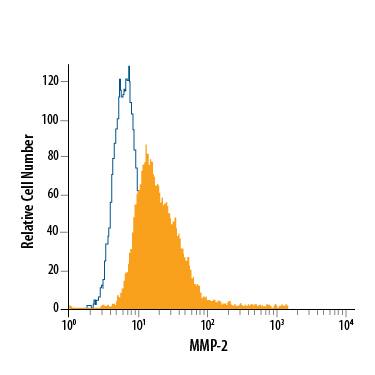 MG-63 human osteosarcoma cell line was stained with Mouse Anti-Human MMP-2 PE-conjugated Monoclonal Antibody (Catalog # IC9023P, filled histogram) or isotype control antibody (Catalog # IC003P, open histogram). To facilitate intracellular staining, cells were fixed with Flow Cytometry Fixation Buffer (Catalog # FC004) and permeabilized with Flow Cytometry Permeabilization/Wash Buffer I (Catalog # FC005). View our protocol for Staining Intracellular Molecules.