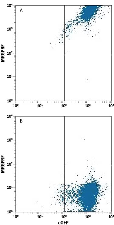 Flow Cytometry MRGPRF Antibody (916219) [Unconjugated]