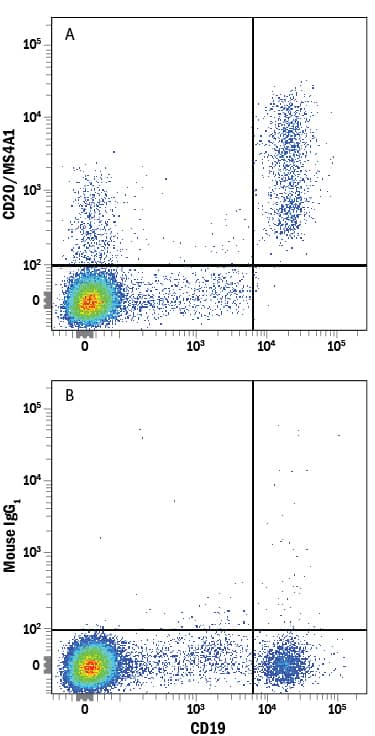 Human peripheral blood mononuclear cells (PBMCs) were stained with Mouse Anti-Human CD19 PE-conjugated Monoclonal Antibody (Catalog # FAB4867P) and either (A) Mouse Anti-Human MS4A1/CD20 Alexa Fluor® 700-conjugated Monoclonal Antibody (Catalog # FAB4225N) or (B) Mouse IgG1Alexa Fluor 700 Isotype Control (Catalog # IC002N). View our protocol for Staining Membrane-associated Proteins.