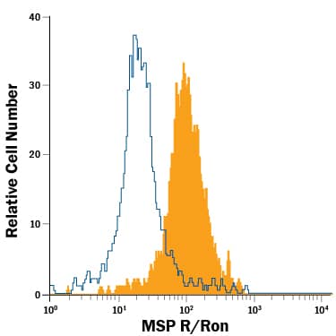 Human whole blood monocytes were stained with Goat Anti-Human MSP R/Ron PE-conjugated Antigen Affinity-purified Polyclonal Antibody (Catalog # FAB6647P, filled histogram) or isotype control antibody (Catalog # IC108P, open histogram). View our protocol for Staining Membrane-associated Proteins.