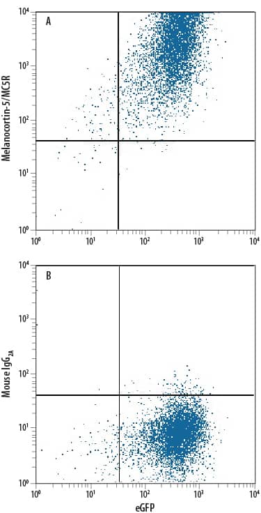 Flow Cytometry Melanocortin-5 R/MC5R Antibody (821012)