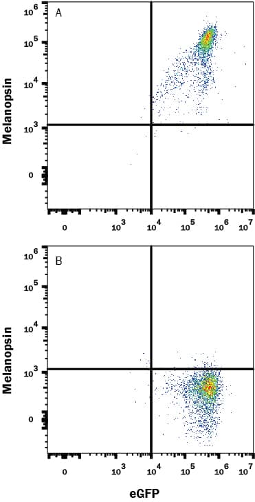 Flow Cytometry Melanopsin Antibody (628737) [Unconjugated]