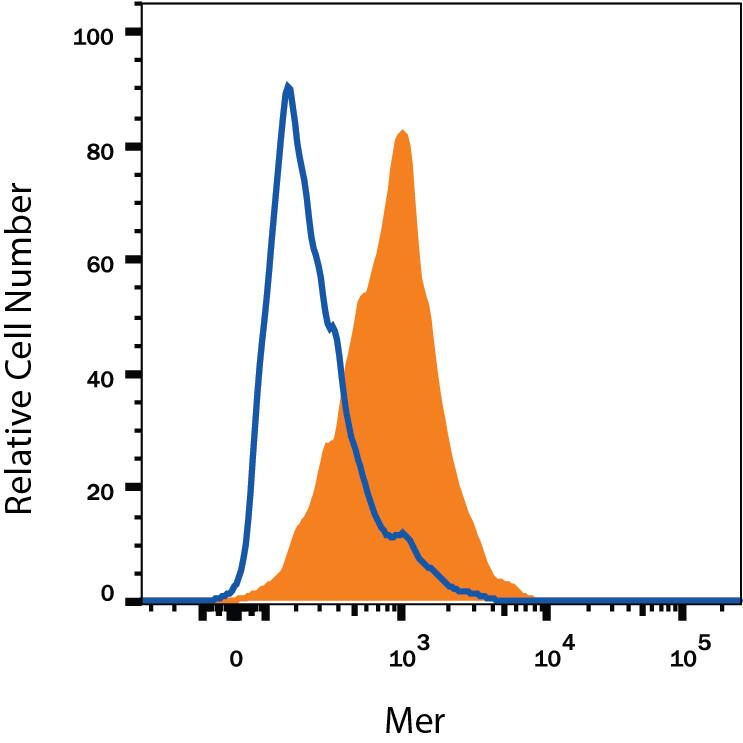 HepG2 human hepatocellular carcinoma cell line was stained with Mouse Anti-Human Mer Alexa Fluor® 700-conjugated Monoclonal Antibody (Catalog # FAB8912N, filled histogram) or isotype control antibody (Catalog # IC0041N, open histogram). View our protocol for Staining Membrane-associated Proteins.