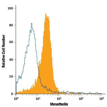 HeLa human cervical epithelial carcinoma cell line was stained with Rat Anti-Human Mesothelin APC-conjugated Monoclonal Antibody (Catalog # FAB32652A, filled histogram) or isotype control antibody (Catalog # IC006A, open histogram). View our protocol for Staining Membrane-associated Proteins.