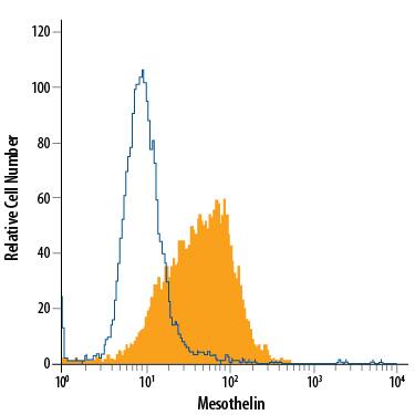 HeLa human cervical epithelial carcinoma cell line was stained with Rat Anti-Human Mesothelin Fluorescein-conjugated Monoclonal Antibody (Catalog # FAB32652F, filled histogram) or isotype control antibody (Catalog # IC006F, open histogram). View our protocol for Staining Membrane-associated Proteins.