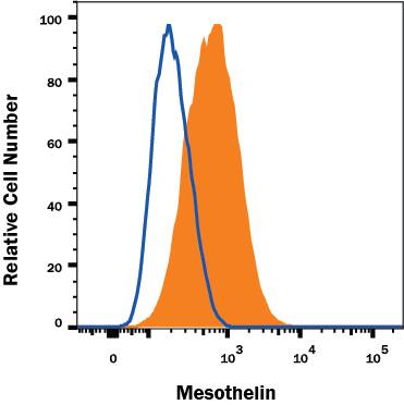 HeLa human cervical epithelial carcinoma cell line was stained with Rat Anti-Human Mesothelin Alexa Fluor® 488-conjugated Monoclonal Antibody (Catalog # FAB32652G, filled histogram) or isotype control antibody (Catalog # IC006G, open histogram). View our protocol for Staining Membrane-associated Proteins.