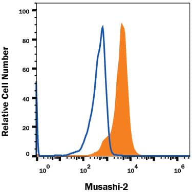 Rat cortical stem cells were stained with Mouse Anti-Human Musashi-2 Monoclonal Antibody (Catalog # MAB3255, filled histogram) or isotype control antibody (Catalog # MAB0041, open histogram), followed by Allophycocyanin-conjugated Anti-Mouse IgG Secondary Antibody (Catalog # F0101B). To facilitate intracellular staining, cells were fixed with Flow Cytometry Fixation Buffer (Catalog # FC004) and permeabilized with Flow Cytometry Permeabilization/Wash Buffer I (Catalog # FC005). View our protocol for Staining Intracellular Molecules.