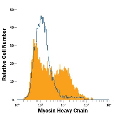 Three-day differentiated C2C12 mouse myoblast cell line was stained with Mouse Anti-Human Myosin Heavy Chain Fluorescein-conjugated Monoclonal Antibody (Catalog # IC4470F, filled histogram) or isotype control antibody (Catalog # IC0041F, open histogram). To facilitate intracellular staining, cells were fixed with Flow Cytometry Fixation Buffer (Catalog # FC004) and permeabilized with Flow Cytometry Permeabilization/Wash Buffer I (Catalog # FC005). View our protocol for Staining Intracellular Molecules.