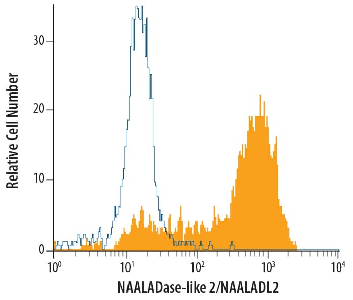 LNCaP human prostate cancer cell line was stained with Mouse Anti-Human NAALADase-like 2/NAALADL2 Monoclonal Antibody (Catalog # MAB4665, filled histogram) or isotype control antibody (Catalog # MAB002, open histogram), followed by Phycoerythrin-conjugated Anti-Mouse IgG Secondary Antibody (Catalog # F0102B).