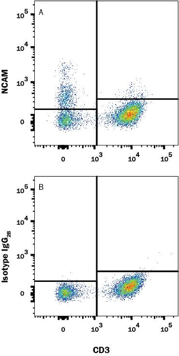 Human peripheral blood mononuclear cells (PBMCs) were stained with Mouse Anti-Human CD3 epsilon APC-conjugated Monoclonal Antibody (Catalog # FAB100A) and either (A) Mouse Anti-Human NCAM-1/CD56 Alexa Fluor® 594-conjugated Monoclonal Antibody (Catalog # FAB2408T) or (B) Mouse IgG2B Isotype Control (Catalog # IC0041T). View our protocol for Staining Membrane-associated Proteins.