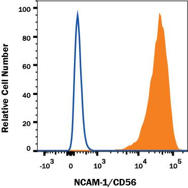 Neuro-2A mouse neuroblastoma cell line was stained with Rat Anti-Mouse NCAM-1/CD56 Alexa Fluor® 647-conjugated Monoclonal Antibody (Catalog # FAB7820R, filled histogram) or isotype control antibody (Catalog # IC006R, open histogram). View our protocol for Staining Membrane-associated Proteins.