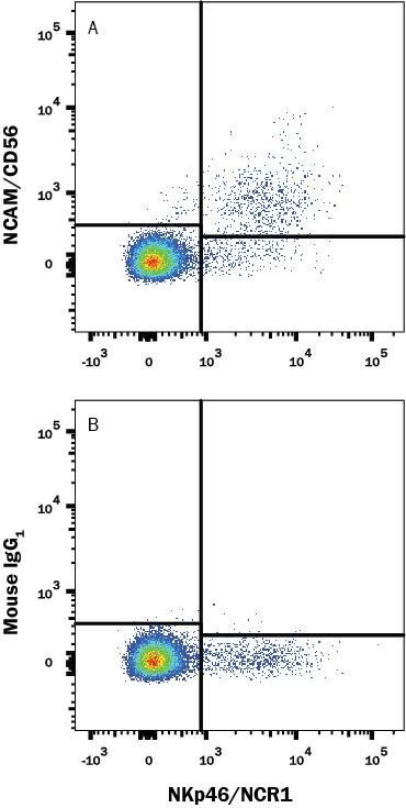 Human peripheral blood was stained with either (A) Mouse Anti-Human NCAM-1/CD56 Monoclonal Antibody (Catalog # MAB24082) or (B) Mouse IgG1 Isotype Control (MAB002) followed by anti-Mouse IgG APC-conjugated secondary antibody (F0101B) and Mouse Anti-Human NKp46 PE-conjugated Monoclonal Antibody (FAB1850P). View our protocol for Staining Membrane-associated Proteins.