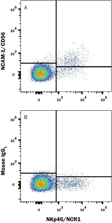 Human peripheral blood was stained with either (A) Mouse Anti-Human NCAM-1/CD56 Monoclonal Antibody (Catalog # MAB24084) or (B) Mouse IgG1 Isotype Control (Catalog # MAB002) followed by anti-Mouse IgG APC-conjugated secondary antibody (Catalog # F0101B) and Mouse Anti-Human NKp46 PE-conjugated Monoclonal Antibody (Catalog # FAB1850P). View our protocol for Staining Membrane-associated Proteins.