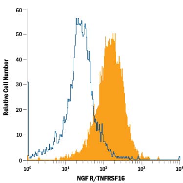 SH-SY5Y human neuroblastoma cell line was stained with Mouse Anti-Human NGF R/TNFRSF16 Alexa Fluor® 700-conjugated Monoclonal Antibody (Catalog # FAB367N, filled histogram) or isotype control antibody (Catalog # IC002N, open histogram). View our protocol for Staining Membrane-associated Proteins.